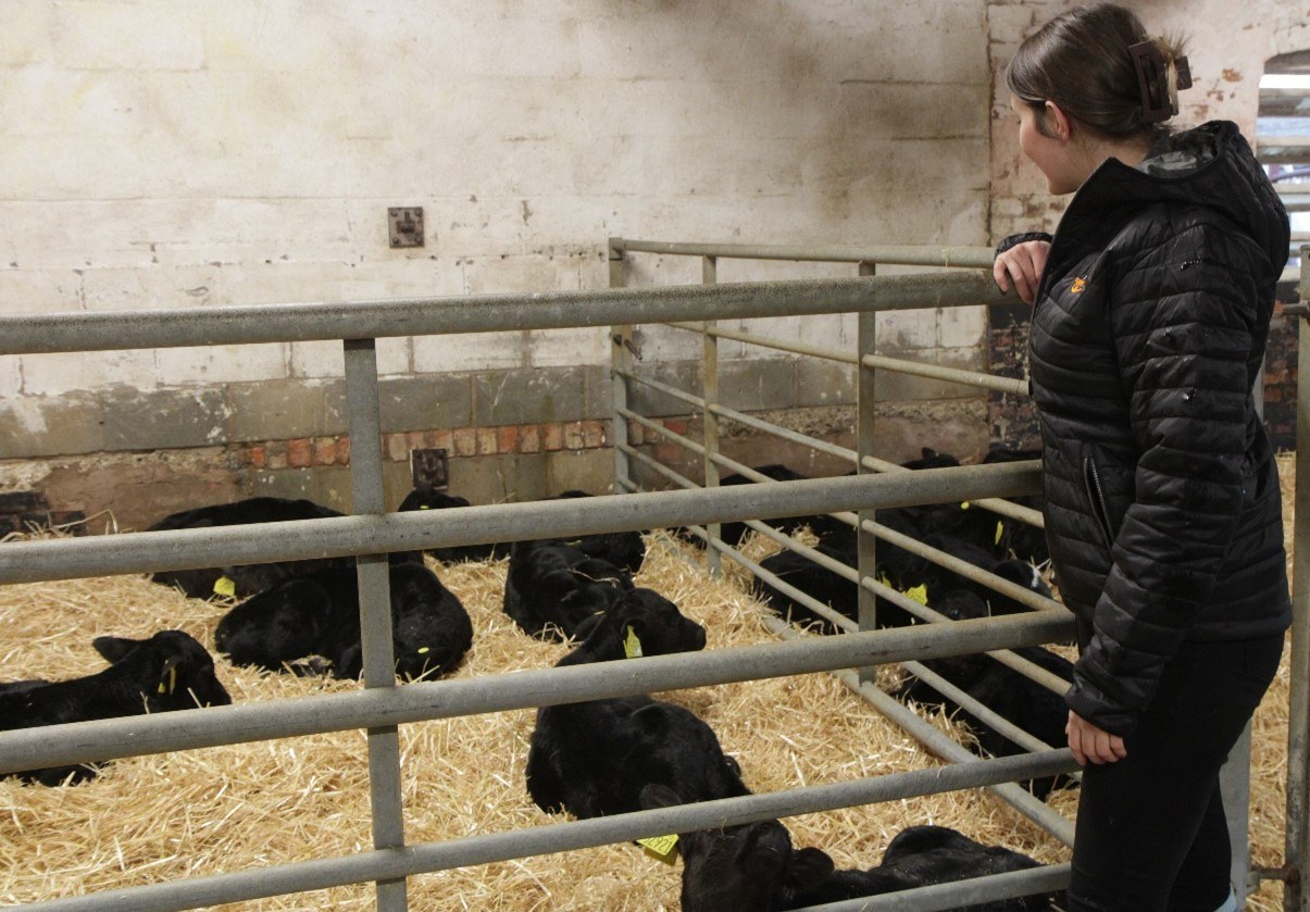 Rachel Dickinson, Cogent's Beef on Dairy Specialist