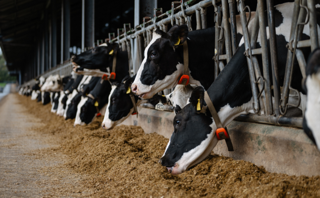 Unlock the Future of Farming Explore the Farming Equipment and Technology Fund 2024 with Cogent