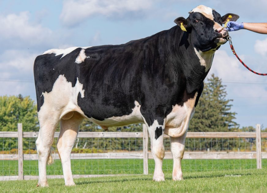 Genosource CAPTAIN enters the proven £PLI rankings in pole position ...