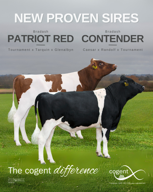 Breeding Line Up Outstanding Day for Cogent's Speciality Breed Line Up - Cogent UK